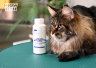 Сухой шампунь-пудра Show Tech Dry Shampoo 100 г., арт. 41STE024